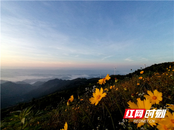 大熊山国家森林公园位于湖南省娄底市新化县北部。近年来，随着“旅游立县”战略深入实施，新化县生态良好、文化旅游资源丰富的后发优势越发彰显，先后跻身中国最具魅力文化旅游百强县、全国休闲农业与乡村旅游示范县、首批“国家全域旅游示范区”创建单位、全省首批文化旅游特色产业重点县行列。据统计，2019年上半年，新化共接待旅客620万人次，同比增长2.5%，旅游综合收入近50亿远，同比增长超过3%。