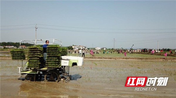 中联重科有序抛秧机助力全国各地春耕生产。