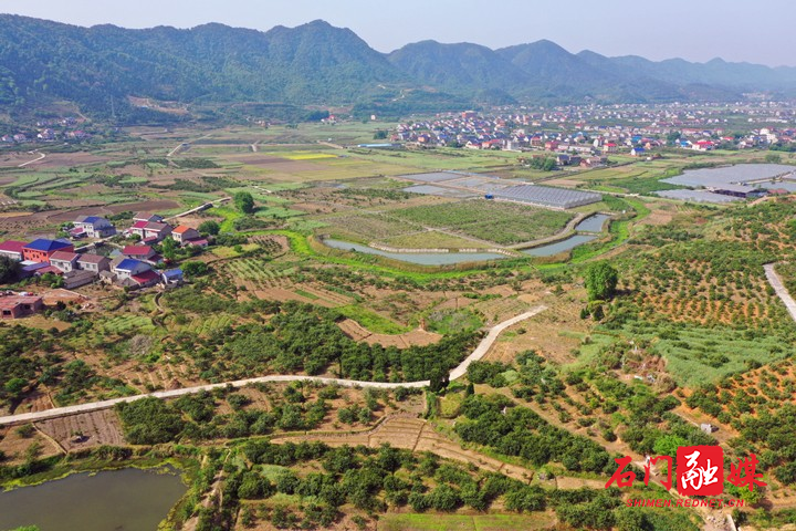 南倚十九峰