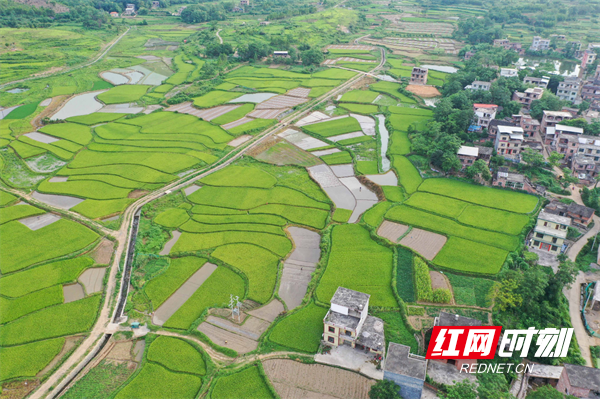 道县白马渡镇樟武坊村。