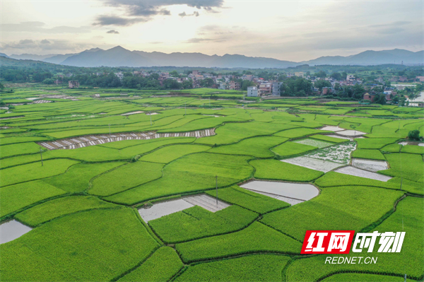 道县白马渡镇樟武坊村。