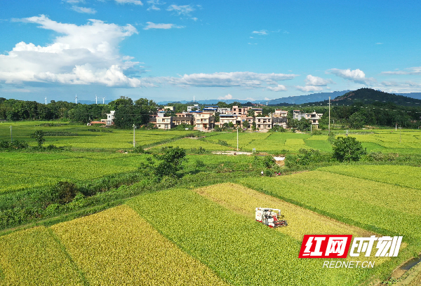 红网时刻7月8日讯(通讯员 蒋克青 乐小可)7月7日,湖南省道县祥霖铺镇