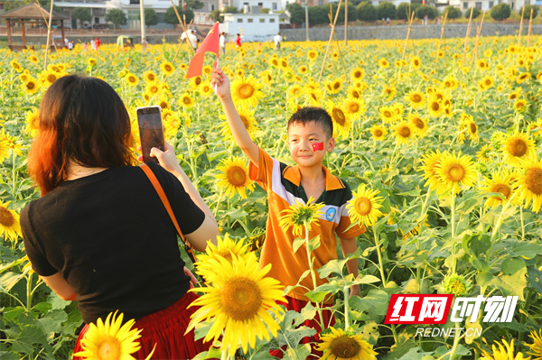 10月1日，市民在道县祥林铺镇两河口村坐游船、赏花海。国庆假日期间，道县梅花镇贵头村、祥林铺镇两河口村、审章塘瑶族乡葫芦岩村、洪塘营瑶族乡癞子山、清塘镇楼田村和月岩村、小塘村等生态旅游休闲景点迎来大批游客，农旅融合的乡村游成为市民假期出游的好选择。