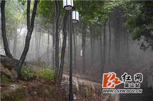10月31日，蓝山县夔龙山受绵绵秋雨影响，随着海拔的攀升，云雾如纱一般缭绕；在登山的石阶两旁，雨中的红枫湿露露的，楚楚动人；云遮雾绕中的石亭与树木，显得神秘莫测。

近年来，该县大力建设城市小游园，主打生态牌，让市民们出门即可享受到天然的氧吧。