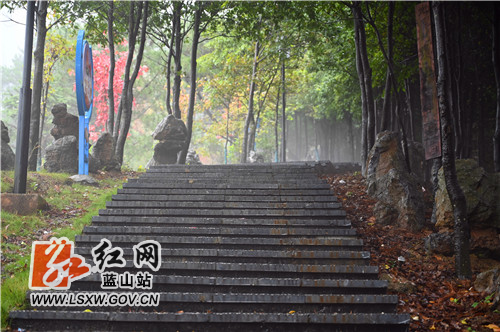 10月31日，蓝山县夔龙山受绵绵秋雨影响，随着海拔的攀升，云雾如纱一般缭绕；在登山的石阶两旁，雨中的红枫湿露露的，楚楚动人；云遮雾绕中的石亭与树木，显得神秘莫测。

近年来，该县大力建设城市小游园，主打生态牌，让市民们出门即可享受到天然的氧吧。