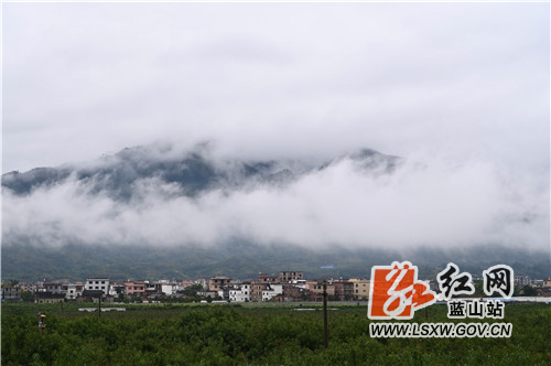 11月1日清晨，蓝山县县城，受连日秋雨影响，清晨短暂的停雨导致了白雾迷漫整个县城，整个县城像出浴的贵妃、身披白纱，朦朦胧胧、煞是好看。