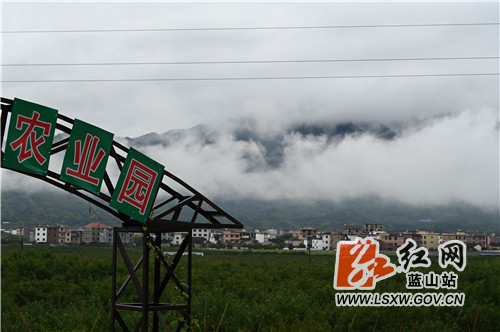 11月1日清晨，蓝山县县城，受连日秋雨影响，清晨短暂的停雨导致了白雾迷漫整个县城，整个县城像出浴的贵妃、身披白纱，朦朦胧胧、煞是好看。