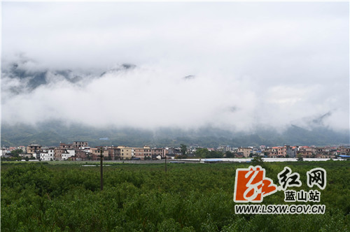 11月1日清晨,蓝山县县城,受连日秋雨影响,清晨短暂的停雨导致了白雾迷