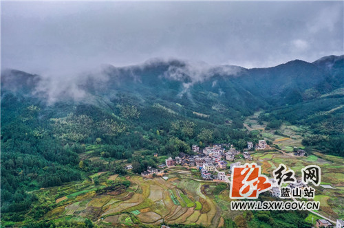 11月1日，晚秋雨后，蓝山县所城镇万年村云雾缭绕，青山、田野、村道和村庄民居在云雾中若隐若现，构成了一幅美丽的山村生态田园风光画卷。