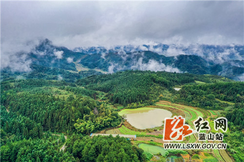 11月1日，晚秋雨后，蓝山县所城镇万年村云雾缭绕，青山、田野、村道和村庄民居在云雾中若隐若现，构成了一幅美丽的山村生态田园风光画卷。