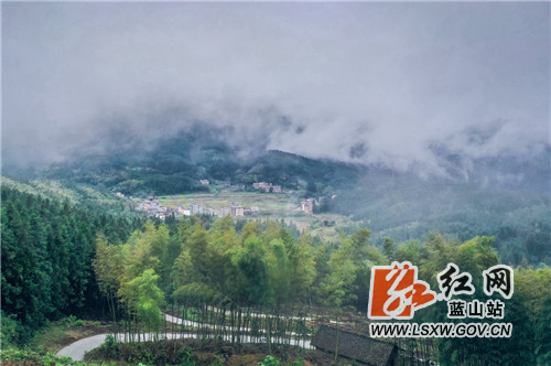 11月1日，晚秋雨后，蓝山县所城镇万年村云雾缭绕，青山、田野、村道和村庄民居在云雾中若隐若现，构成了一幅美丽的山村生态田园风光画卷。