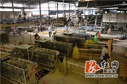 11月5日，蓝山县毛俊镇俊源竹制品厂，工人们正在生产竹制环保碳，准备拉往大城市。竹制环保碳的主要原材料是生产竹筷子所产生的竹屑，既确保了原材料不浪费，又能确保环保碳气味芳香，深受大城市消费者喜爱。

近年来，该县充分地处山区的资源优势，做足25万亩生态楠竹的深加工文章，利用楠竹生长快的特点，一方面用竹制家具代替木制家具，另一方面拉长竹制品生产加工链条，所生产的竹制环保碳远销东北等大中城市，为竹农带来了看得见的效益。