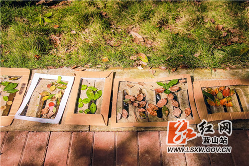 11月10日，蓝山县森林植物园，小朋友们在老师的指导下，用落叶进行创意绘画。

趁着暖阳，小朋友们走进自然，在大树下、草地里收集自己喜爱的落叶，利用落叶本身的形状和颜色，通过孩子们无穷的想象力，在画框里摆放出美丽的图案，描绘出孩子们眼中多姿多彩的深秋景象。