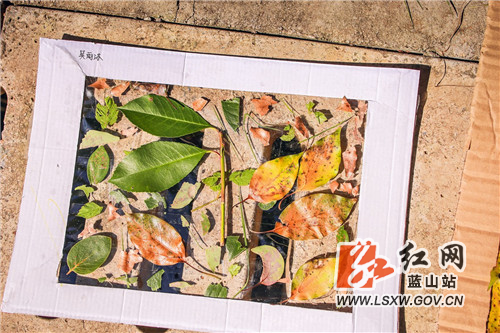 11月10日，蓝山县森林植物园，小朋友们在老师的指导下，用落叶进行创意绘画。

趁着暖阳，小朋友们走进自然，在大树下、草地里收集自己喜爱的落叶，利用落叶本身的形状和颜色，通过孩子们无穷的想象力，在画框里摆放出美丽的图案，描绘出孩子们眼中多姿多彩的深秋景象。