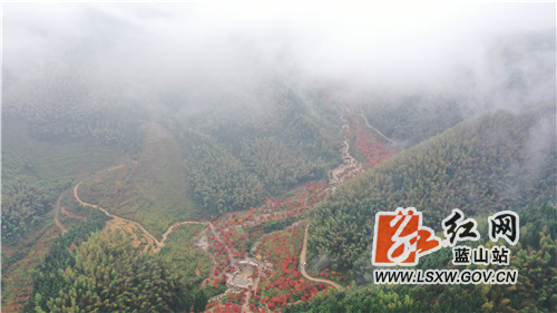 11月20日，航拍蓝山县湘江源瑶族乡坪塬村通村公路，有如一条飘带漂浮在蓝天白云与绿水青山之间，最终到达美丽幸福的红枫大峡谷。

近年来，该县把修建“四好通村公路”作为一项民生工程、民心工程来抓紧、抓好落实。同时，引导各村因地制宜发展生态旅游，切实让绿水青山转化为金山银山，让大瑶山的同胞们过上了幸福的新生活。