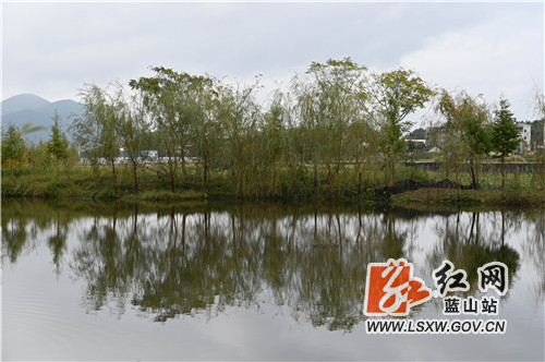 11月22日，行摄于蓝山县城郊舜水河畔，目之所及、冬景如画。

只见蓝天白云下是一望无垠的田野乡间，潺潺流动的舜水河畔是整齐划一的红瓦白墙，冬种的农民悠然地在田间耕种，喉咙里哼唱的是欢快的牧羊曲。

近年来，该县严格实施河长制，综合治理后的舜水河鱼跃虾欢。同时，该县大力实施乡村振兴战略，现代化改造后的田园综合体，更是拉高了农民朋友种田的积极性和幸福感。