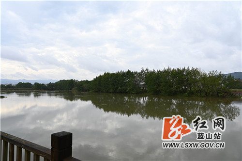 11月22日，行摄于蓝山县城郊舜水河畔，目之所及、冬景如画。

只见蓝天白云下是一望无垠的田野乡间，潺潺流动的舜水河畔是整齐划一的红瓦白墙，冬种的农民悠然地在田间耕种，喉咙里哼唱的是欢快的牧羊曲。

近年来，该县严格实施河长制，综合治理后的舜水河鱼跃虾欢。同时，该县大力实施乡村振兴战略，现代化改造后的田园综合体，更是拉高了农民朋友种田的积极性和幸福感。