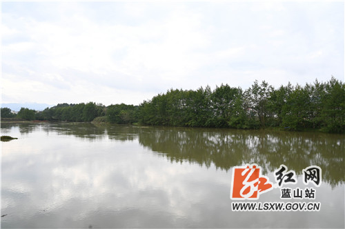 11月22日，行摄于蓝山县城郊舜水河畔，目之所及、冬景如画。

只见蓝天白云下是一望无垠的田野乡间，潺潺流动的舜水河畔是整齐划一的红瓦白墙，冬种的农民悠然地在田间耕种，喉咙里哼唱的是欢快的牧羊曲。

近年来，该县严格实施河长制，综合治理后的舜水河鱼跃虾欢。同时，该县大力实施乡村振兴战略，现代化改造后的田园综合体，更是拉高了农民朋友种田的积极性和幸福感。