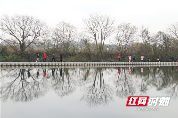 游客在洑水河汀字叠水桥上游玩。