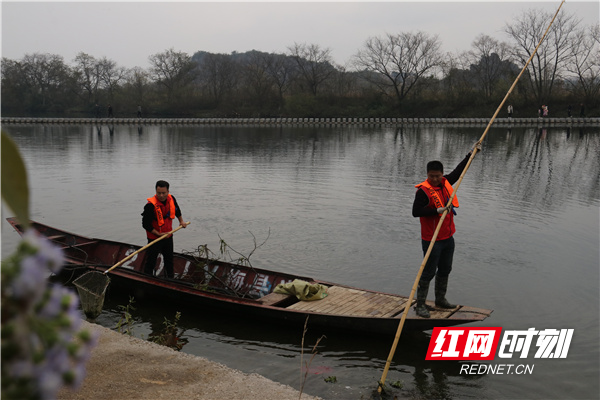民间河长和志愿者们利用假日在清理河面树枝树叶、垃圾等漂浮物。