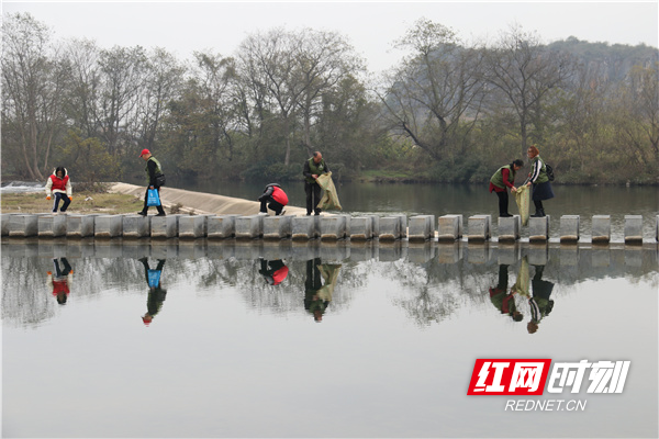 民间河长和志愿者们利用假日在清理河面树枝树叶、垃圾等漂浮物。