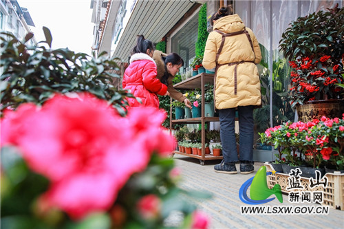 1月14日，春节临近，年味渐浓，蓝山县各大集市和商业街区一片红火，红红的春联和灯笼，红红的“福”字和“虎”元素，还有红艳艳年宵花卉，为即将到来的春节增添了热闹喜庆的气氛。人们上街忙着选购春节饰品，一家老小赶大集、办年货，沉浸在迎接新春的喜庆氛围中，处处洋溢着浓浓年味。
