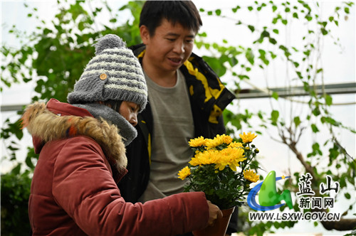 1月17日，蓝山县塔峰镇高阳村正美花卉大棚，顾客正在选购新鲜的花卉。
临近年关，该县各大花卉市场交易逐渐升温。一方面，消费者的消费势头旺盛；另一方面，各花卉商家也备足了货，以迎接春节期间花卉交易的高峰。