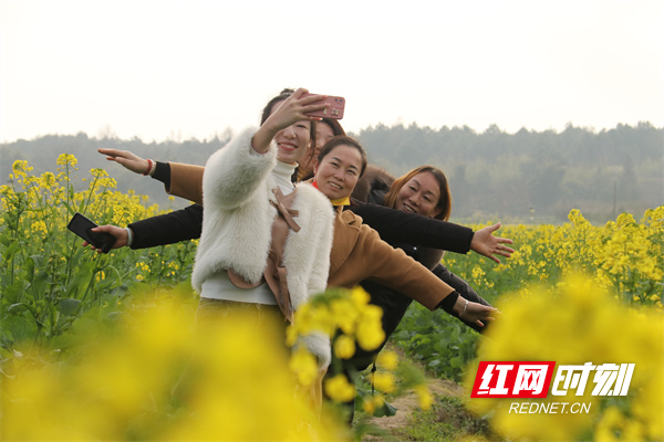 2月4日，道县祥霖铺镇两河口村，市民在油菜花田里拍照游玩。