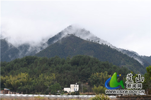 冬去春来，雨润江南。2月7日，蓝山县舜水河畔，一场春雨过后，春的气息扑面而来，大地万物蠢蠢欲动、焕发出勃勃生机。