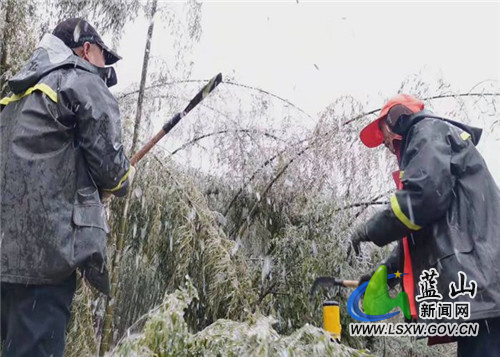 自1月17日春运工作开展以来，蓝山县公路部门紧急启动低温雨雪冰冻天气公路保畅应急预案，全力投入到公路融冰除雪保安全保畅通工作中。截至2月9日，先后投入公路应急抢险资金50多万元，出动应急抢险车辆30多台次，抛撒融雪剂110吨，动用防滑麻袋450个，防滑沙700立方米，处置急弯、陡坡、平交道口等险要路段30多处，配备安全锥筒1000个，设置安全警示标志95块，累计抢通结冰路段220公里，有效确保了县境内国省干线公路春运期间道路安全通行。