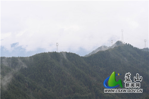2月9日，蓝山县夔龙山，受入春以来的雨雪天气影响，海拔500多米的山顶冰凌闪闪、雾凇迷蒙，惹得前来爬山健身的市民驻足欣赏、拍照留念。​
