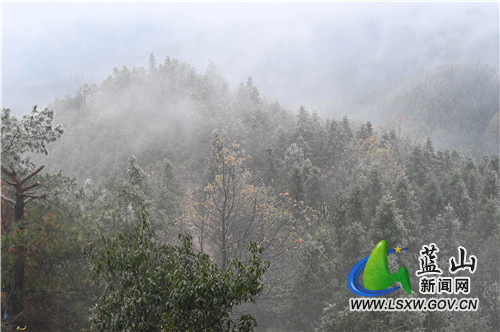 2月9日，蓝山县夔龙山，受入春以来的雨雪天气影响，海拔500多米的山顶冰凌闪闪、雾凇迷蒙，惹得前来爬山健身的市民驻足欣赏、拍照留念。​