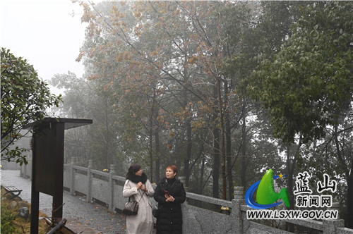 2月9日，蓝山县夔龙山，受入春以来的雨雪天气影响，海拔500多米的山顶冰凌闪闪、雾凇迷蒙，惹得前来爬山健身的市民驻足欣赏、拍照留念。​