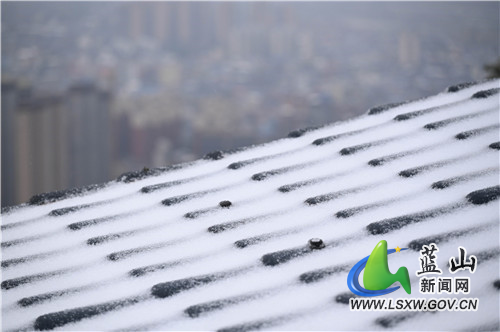 2月20日，蓝山县夔龙山，雨夹雪沙沙作响、大雪花飘飘扬扬，在童话般的白雪世界里，冰凌雾凇、踏雪之印更显得锦上添花。都说瑞雪兆丰年，虎年开春之际，来一场彻彻底底的大雪，预示着今年又是一个丰收之年。
