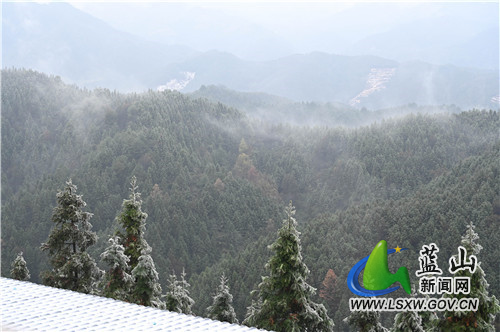 2月20日，蓝山县夔龙山，雨夹雪沙沙作响、大雪花飘飘扬扬，在童话般的白雪世界里，冰凌雾凇、踏雪之印更显得锦上添花。都说瑞雪兆丰年，虎年开春之际，来一场彻彻底底的大雪，预示着今年又是一个丰收之年。