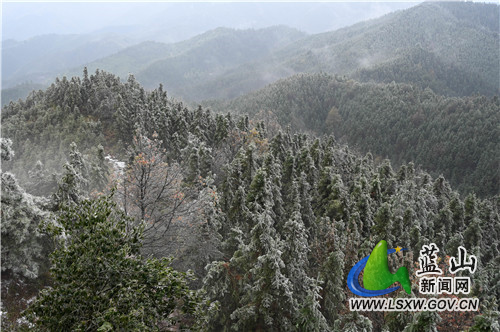 2月20日，蓝山县夔龙山，雨夹雪沙沙作响、大雪花飘飘扬扬，在童话般的白雪世界里，冰凌雾凇、踏雪之印更显得锦上添花。都说瑞雪兆丰年，虎年开春之际，来一场彻彻底底的大雪，预示着今年又是一个丰收之年。