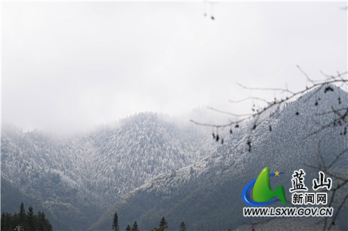 2月23日，蓝山县境内南岭山脉，大雪“定点”落在了海拔较高、风口所在的山头，有如披上了银甲的战神。白皑皑的山尖与青松翠柏交相辉映，形成了独特的南岭雪韵。