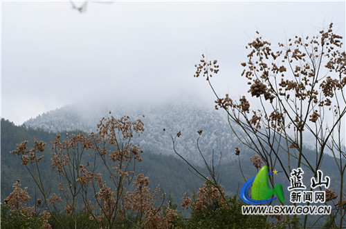 2月23日，蓝山县境内南岭山脉，大雪“定点”落在了海拔较高、风口所在的山头，有如披上了银甲的战神。白皑皑的山尖与青松翠柏交相辉映，形成了独特的南岭雪韵。