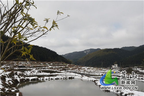 近日，随着气温的升高，蓝山县大桥瑶族乡湘源岭村的冰雪逐渐消融，山间清泉冲破“封印”，叮咚欢唱。山上风车白雪、河畔小鸭戏水、路旁花草绿木，以明媚之色报知春归，点缀了整个山野，美轮美奂的景色让人沉醉。