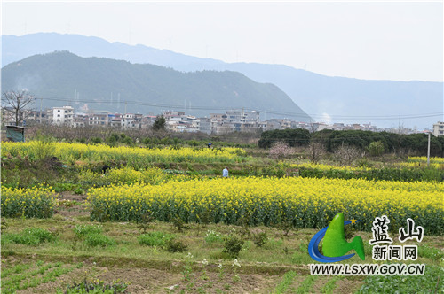 3月10日，蓝山县塔峰镇舜水河畔，鸟语花香、河流潺潺，人们在春风十里中辛勤劳作，构成了一幅极美的春耕图。
一年之计在于春，人们沐浴着春风、呼吸着花香，用勤劳的双手耕种一年的希望。