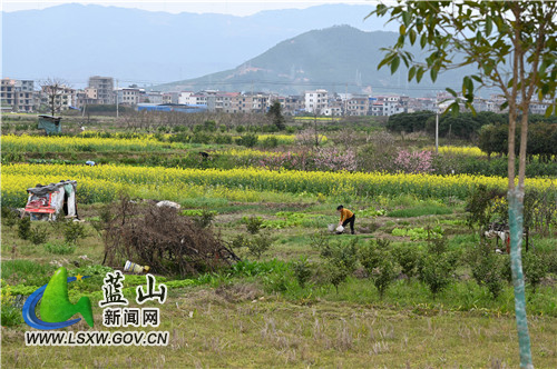 3月10日，蓝山县塔峰镇舜水河畔，鸟语花香、河流潺潺，人们在春风十里中辛勤劳作，构成了一幅极美的春耕图。
一年之计在于春，人们沐浴着春风、呼吸着花香，用勤劳的双手耕种一年的希望。