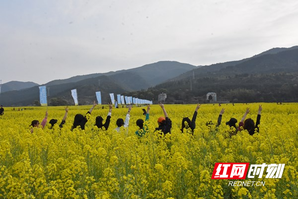 双牌县枫木山村油菜花基地的油菜花盛开，吸引游客前往踏青赏花，感受春光。