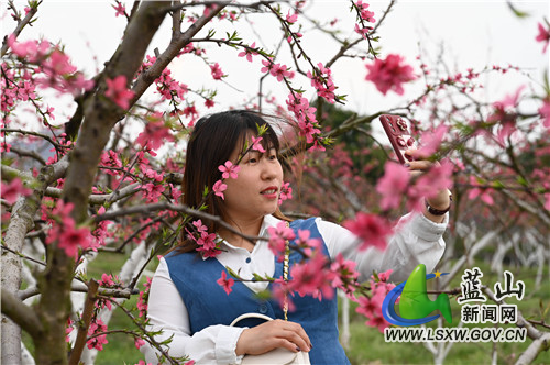 3月11日，蓝山县塔峰镇富阳头村果园，桃花、李子花、油菜花争奇斗艳，点缀了满园的春色，吸引了不少市民前来踏青赏花。