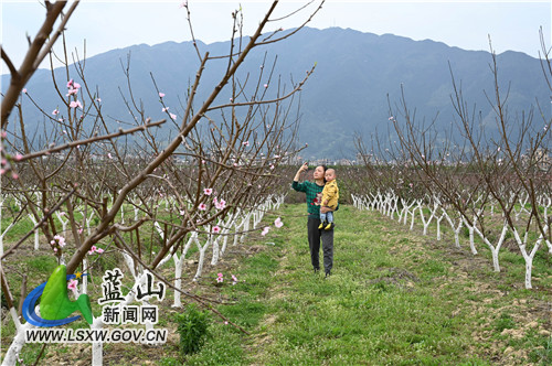 3月11日，蓝山县塔峰镇富阳头村果园，桃花、李子花、油菜花争奇斗艳，点缀了满园的春色，吸引了不少市民前来踏青赏花。