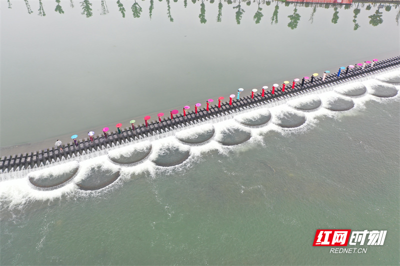 5月8日，一群旗袍爱好者在道县何宝珍故里的洑水河叠水坝上进行旗袍秀。