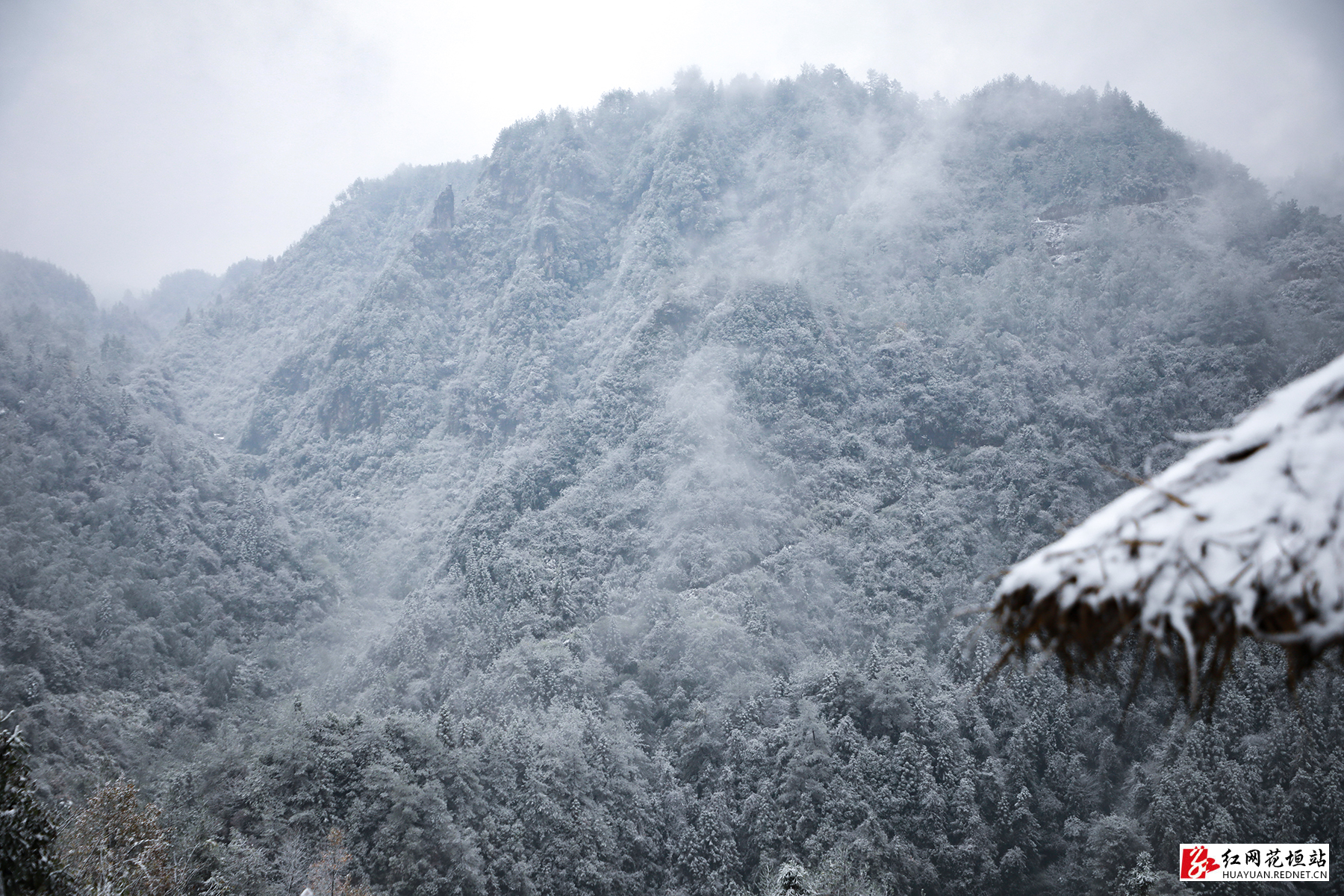 11月30日，花垣县双龙镇十八洞村迎来了2022年入冬后的第一场雪。白雪落山野，碎碎坠琼芳。雪后的苗寨银装素裹，好似一幅雪景山水画。