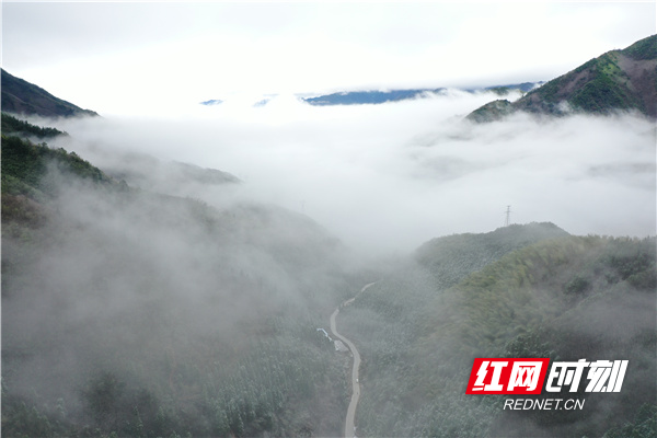 大洞田村的雾凇云海。