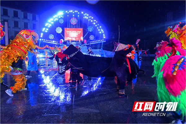 春牛龙狮齐聚一堂，冒着新春第一场春雨进行民俗表演活动。