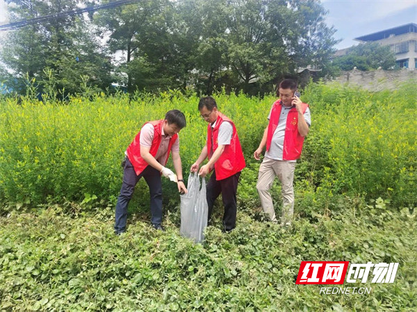 活动过程中，干部职工身穿“红马甲”对湄江沿岸的塑料瓶、包装袋等垃圾进行清理，大家顶着太阳，充分发扬不怕脏、不怕累、不怕苦的精神，在河岸边仔细拾捡，切实还湄江河沿岸清洁本色。