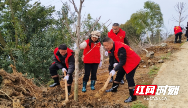 涟源市审计局到乡村振兴帮扶村枫坪镇龙师村开展义务植树活动。